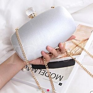 Silver clutch/crossbag